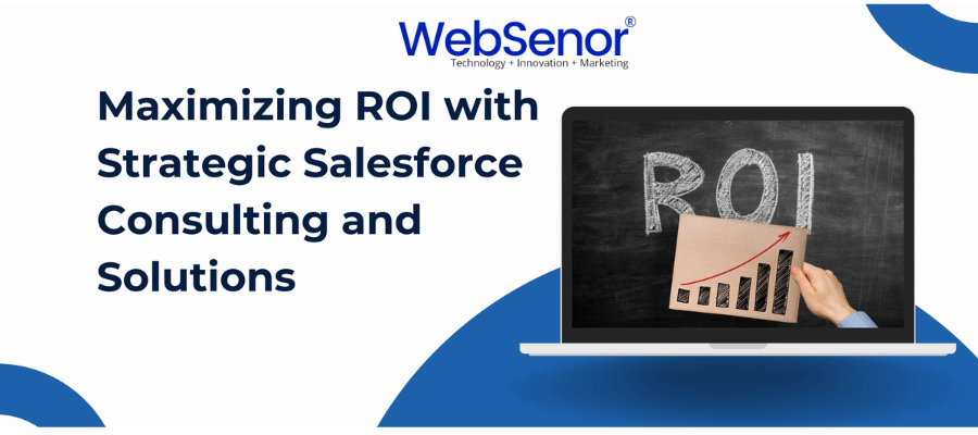 Maximizing ROI with Salesforce banner WebSenor