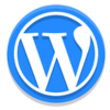 Hire WordPress Developers in India
