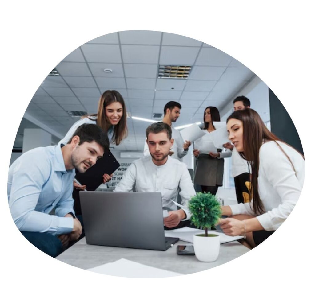 Web development company in udaipur