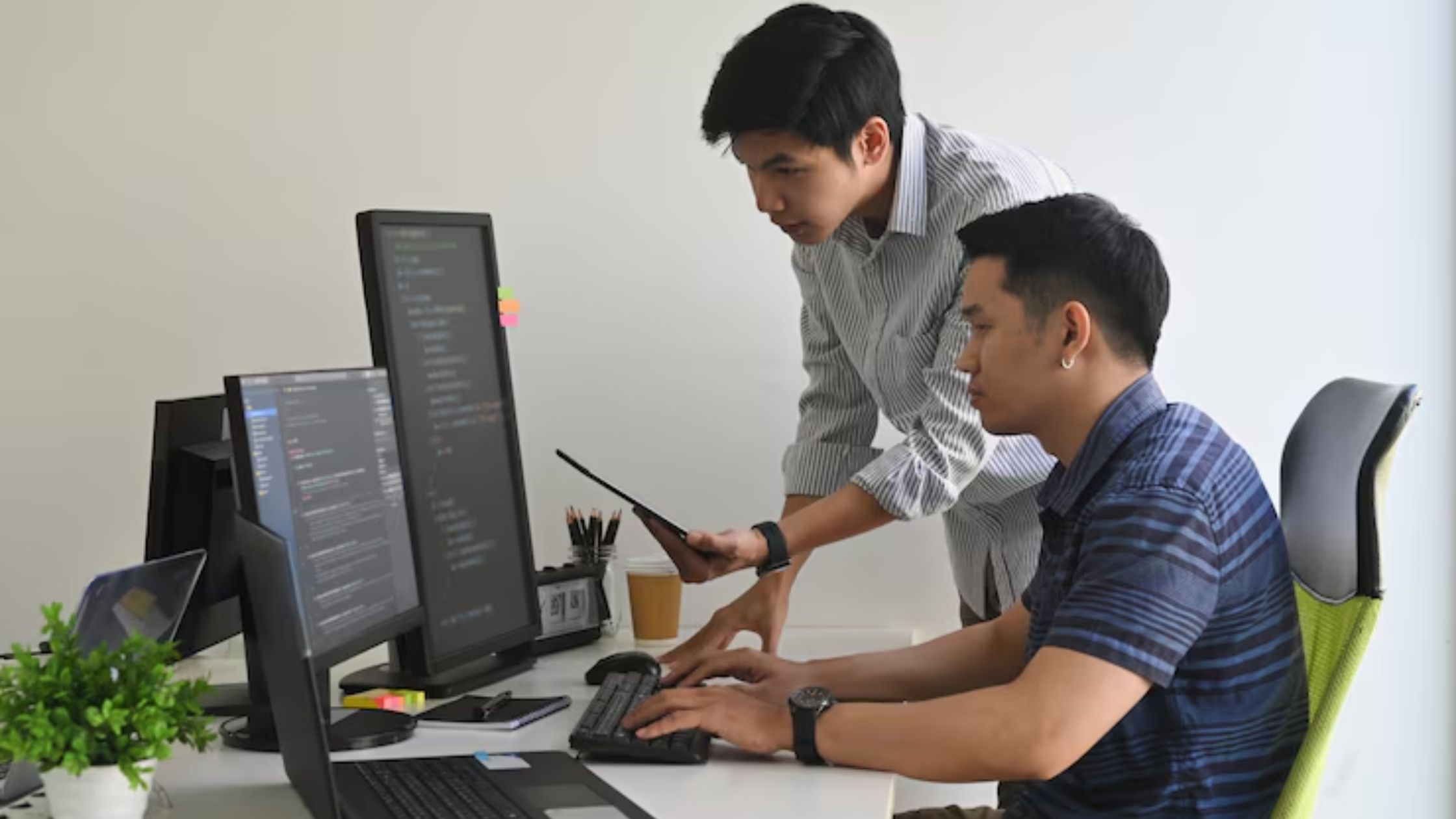 web development company in Udaipur