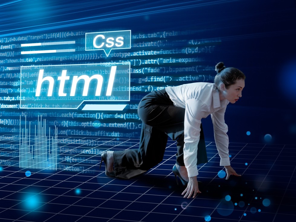Dynamic Web Applications in Bangalore – Building Future-Ready Platforms