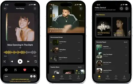 spotify-like-music-app-500x500